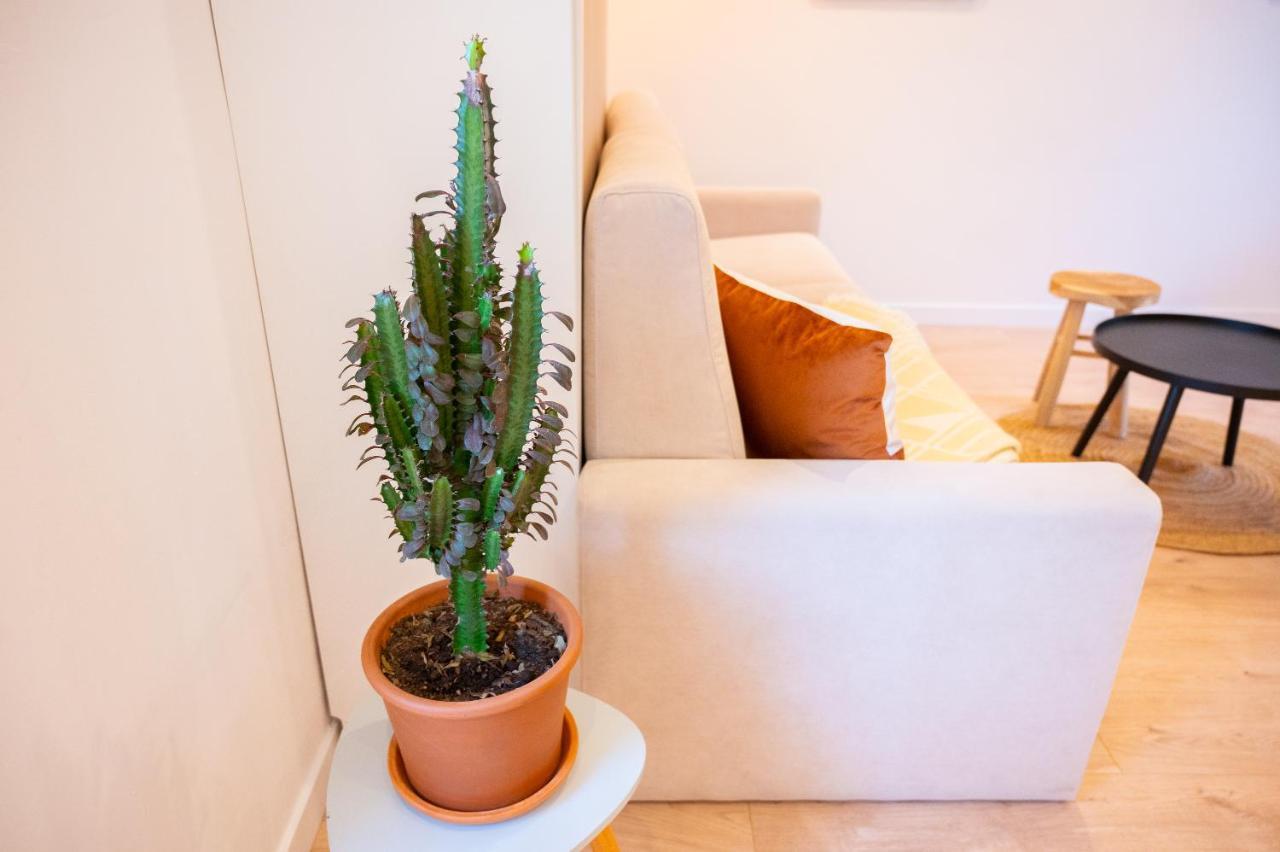 Appartement Cocooning Proche Mer Carqueiranne Kültér fotó