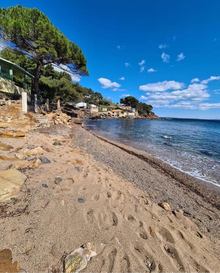Appartement Cocooning Proche Mer Carqueiranne Kültér fotó